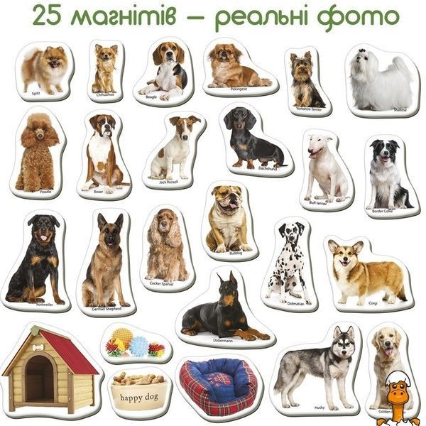 Мамалюк - Детский развивающий набор магнитов Породы собак 24 фотомагнита Magdum Magdum RT2-ML4031-20EN