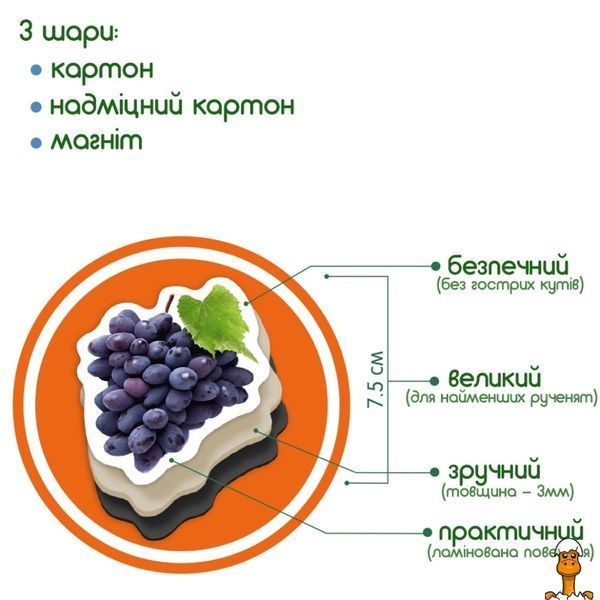 Мамалюк - Дитячий набір магнітів Фрукти та ягоди Magdum Magdum RT2-ML4031-11-EN