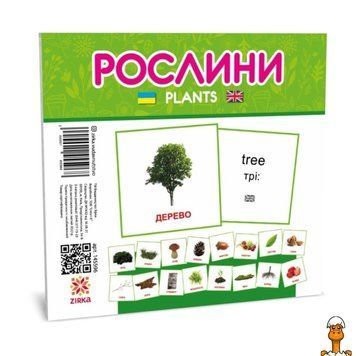 Мамалюк - Детские развивающие карточки Растения на украинском и английском языках ЗІРКА ЗІРКА RT2-145596