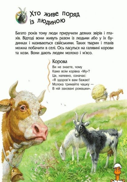 Мамалюк - Детская энциклопедия про животных для дошкольников Ranok Creative Ranok Creative RT2-614005