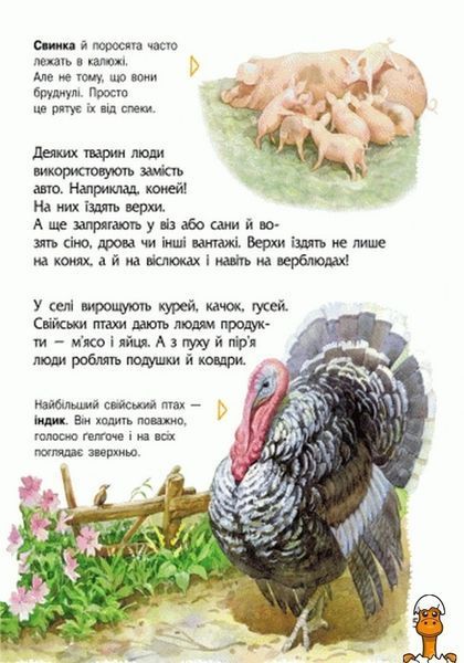 Мамалюк - Дитяча енциклопедія про тварин для дошкільнят Ranok Creative Ranok Creative RT2-614005