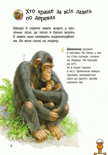 Мамалюк - Дитяча енциклопедія про тварин для дошкільнят Ranok Creative Ranok Creative RT2-614005