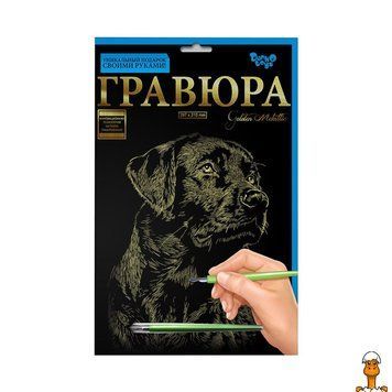 Мамалюк - Гравюра А4 Лабрадор 29.5х21 см Danko Toys Danko Toys RT2-ГРА4-02-03З