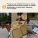 Мамалюк - Настольная игра Кубики Вдохновения 9 цветных кубиков 54 простых действия Memo Games Memo Games RT2-0039MG фото 7