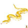 Детская игровая фигурка Питон ZY1827209 серии Reptiles and insects Kids Team