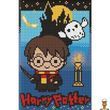 Алмазна мозаїка без підрамника Harry Potter: Таємниці темного замку 20х30 см Идейка