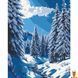 Картина за номерами Зимова казка 40х50 см Art Craft