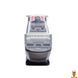 Мамалюк - Коллекционная детская модель круизного лайнера TechnoDrive TechnoDrive RT2-250420CG-2 фото 3