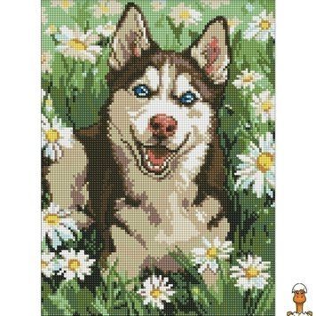 Мамалюк - Алмазна мозаїка Хаскі у квіточках &copy;art_selena_ua AMO20472 30х40 см Ideyka Ideyka RT2-AMO20472