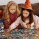 Мамалюк - Дитяча настільна гра Find it: Harry Potter 200585 4 двосторонні поля 80 ігрових карток 2-6 гравців DoDo Toys DoDo Toys RT2-200585 фото 6
