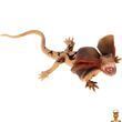 Дитяча іграшкова фігурка Плащеноса ящірка ZY1796866_1 серії Reptiles and insects Kids Team