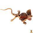 Детская игровая фигурка Плащеносая ящерица серии Reptiles and insects Kids Team