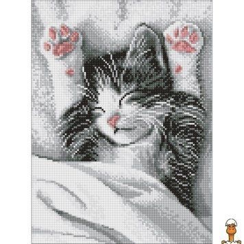 Мамалюк - Алмазна мозаїка Муркотливий ранок 30х40 см Идейка ідейка RT2-AMO20204