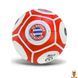 Мамалюк - М'яч футбольний FC BAYERN MUNCHEN FP081 №5 PU 420 грам 32 панелі сітка+голка в комплекті Bambi Bambi RT2-FP081 фото 1
