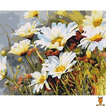 Мамалюк - Картина за номерами Суниця в ромашках 40х50 см Brushme Brushme RT2-BS52280