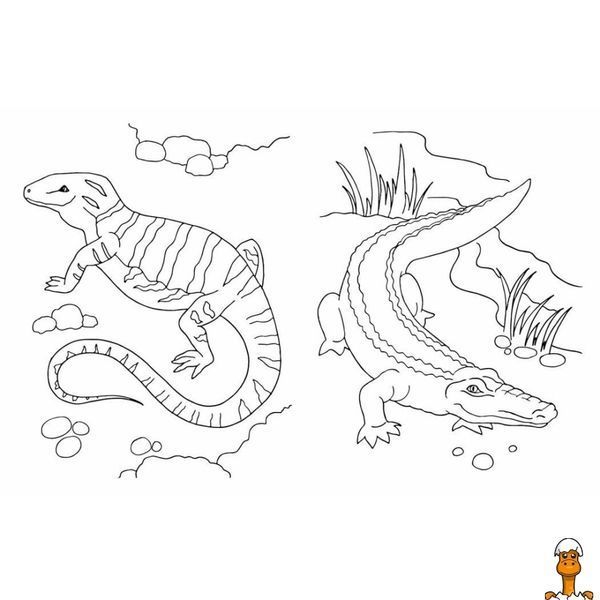 Мамалюк - Книга-раскраска для детей Большая Животные 64 страницы Ranok Creative Ranok Creative RT2-1736031