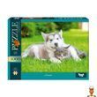 Пазл Друзі 1000 елементів Danko Toys