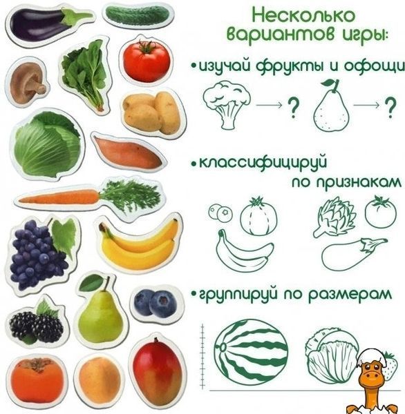 Мамалюк - Набір магнітів Фрукти і овочі дитячий Magdum Magdum RT2-ML4031-15-EN