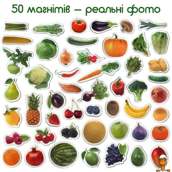 Мамалюк - Набір магнітів Фрукти і овочі дитячий Magdum Magdum RT2-ML4031-15-EN
