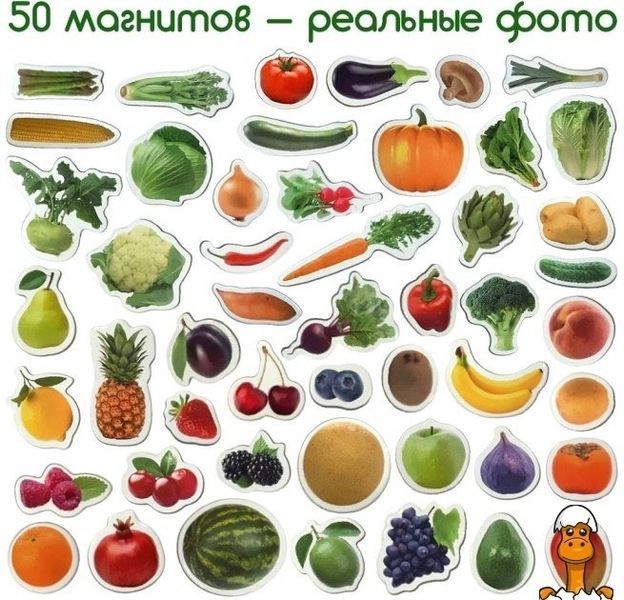 Мамалюк - Набір магнітів Фрукти і овочі дитячий Magdum Magdum RT2-ML4031-15-EN