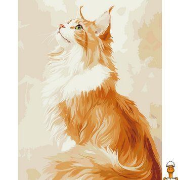 Мамалюк - Картина по номерам Рыжий Мейн-кун 40х50 см Art Craft Art Craft RT2-11704-AC