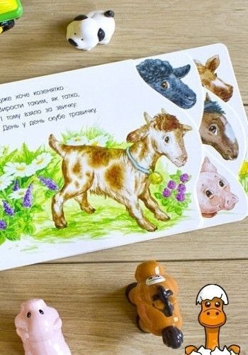 Мамалюк - Картонні розвиваючі картки Перші кроки На фермі Ranok Creative Ranok Creative RT2-410023