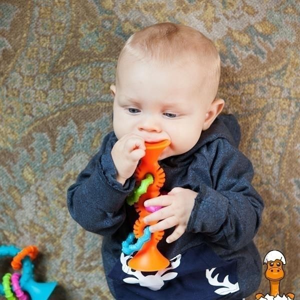 Мамалюк - Прорезыватель-погремушка на присосках Fat Brain Toys pipSquigz Loops оранжевый (F165ML) Fat Brain Toys A4-F165ML