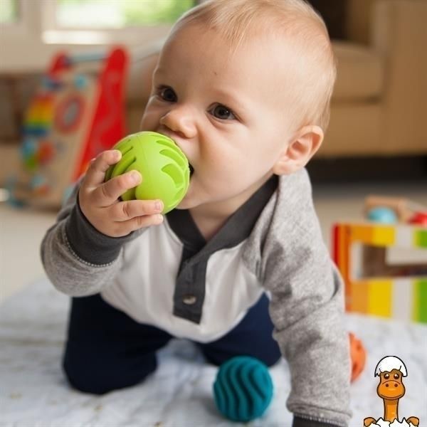Мамалюк - Прорізувач-брязкальце Fat Brain Toys Sensory Rollers Сенсорні кулі 3 шт. (F161ML) Fat Brain Toys A4-F161ML