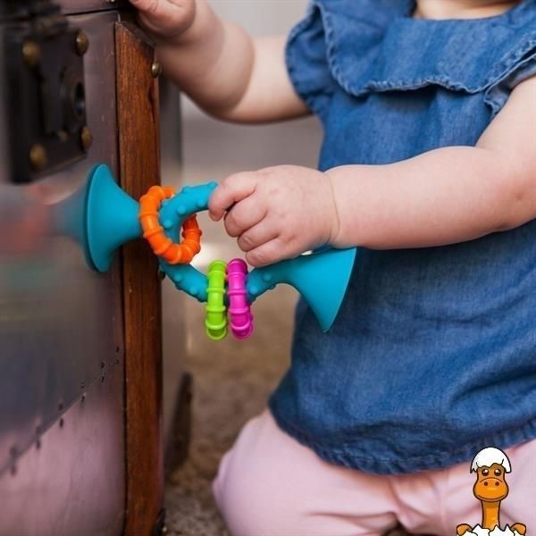 Мамалюк - Прорезыватель-погремушка на присосках Fat Brain Toys pipSquigz Loops бирюзовый (F166ML) Fat Brain Toys A4-F166ML