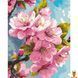 Картина за номерами сакура 40х50 см Art Craft