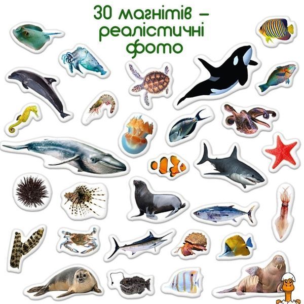 Мамалюк - Магнітний дитячий набір Морські мешканці Magdum Magdum RT2-ML4031-28-EN