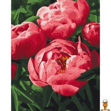 Мамалюк - Картина за номерами Насичений колір півоній BS51711 40x50 см Brushme Brushme RT2-BS51711
