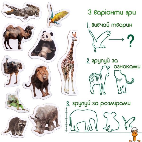 Мамалюк - Дитячий набір магнітів Зоо 19 штук Magdum Magdum RT2-ML4031-02-EN