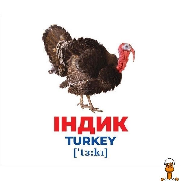 Мамалюк - Набор развивающих карточек Домашние животные 17 штук Ranok Creative Ranok Creative RT2-10107191