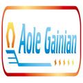 Aole Gainian