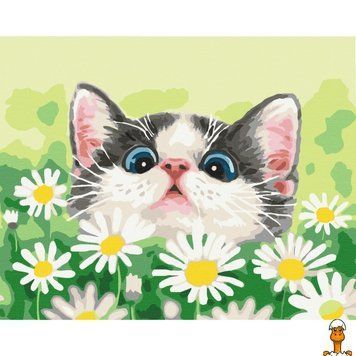 Мамалюк - Картина&nbsp;за&nbsp;номерами Котик&nbsp;в&nbsp;ромашках Brushme BS51569 40х50 см Brushme RT2-BS51569
