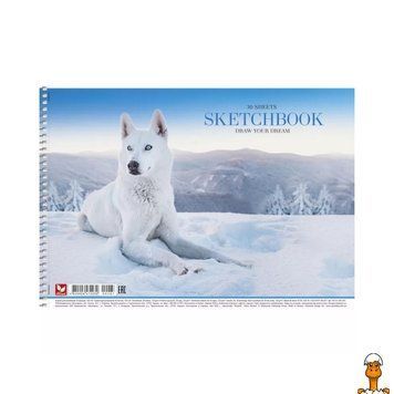 Мамалюк - Альбом для малювання Animal PB-SC-030-287-1 спіраль 30 аркушів Школярик Школярик RT2-PB-SC-030-287-1