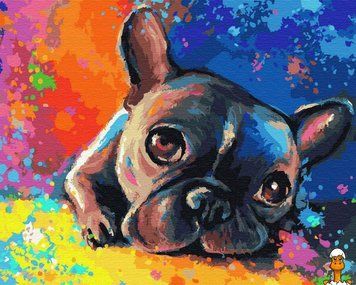 Мамалюк - Картина за номерами бульдог 40х50 см Brushme Brushme RT2-GX28895