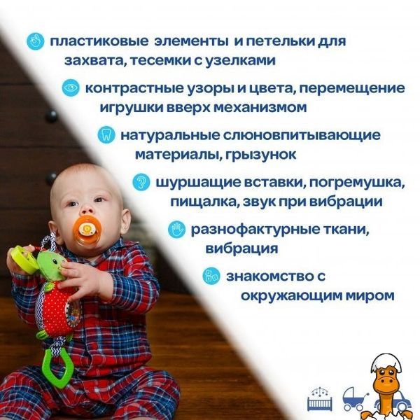 Мамалюк - Дитяча вібропідвіска Ферма Жучок Macik Macik RT2-МС-110305-03
