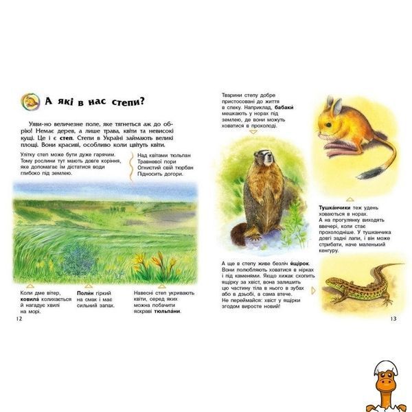 Мамалюк - Детская энциклопедия дошкольника Украина Ranok Creative Ranok Creative RT2-614044
