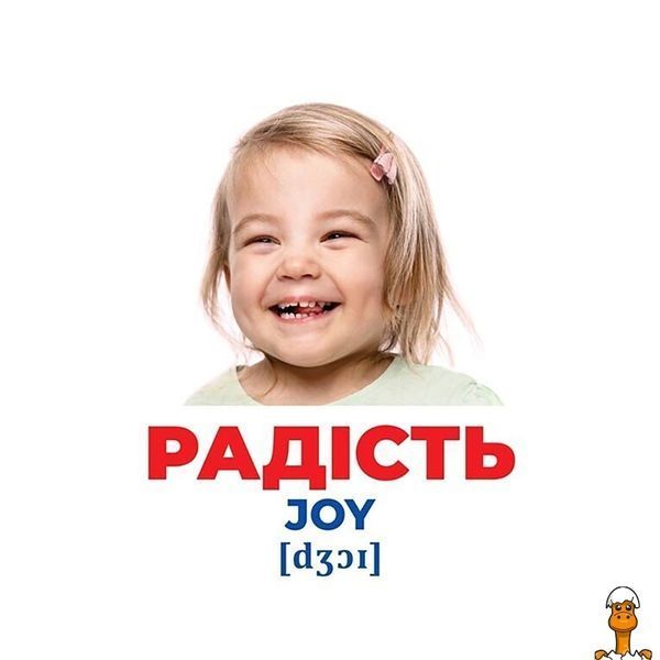 Мамалюк - Детский набор развивающих карточек Эмоции и чувства 17 карточек Ranok Creative Ranok Creative RT2-10107208