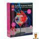 Мамалюк - Модель очного яблука Edu-Toys збірна 14 см (SK007) Edu-Toys A4-SK007 фото 2