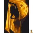 Картина за номерами Магія Місяця 30х40 см Bambi
