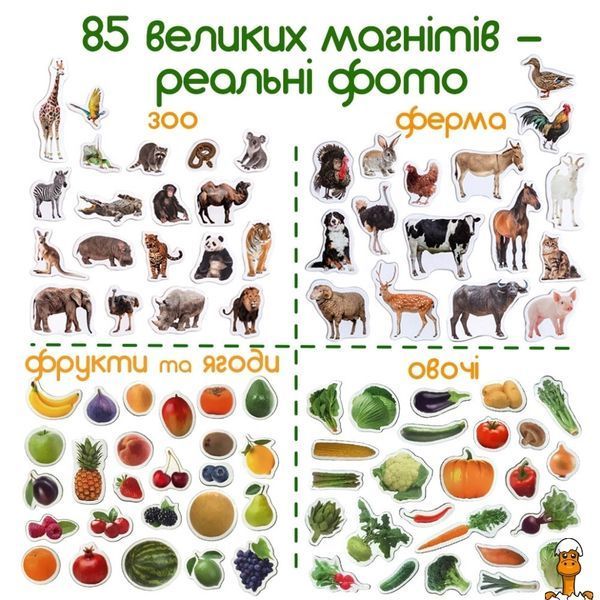 Мамалюк - Набор детских магнитов Magdum Magdum RT2-ML4031-61-EN