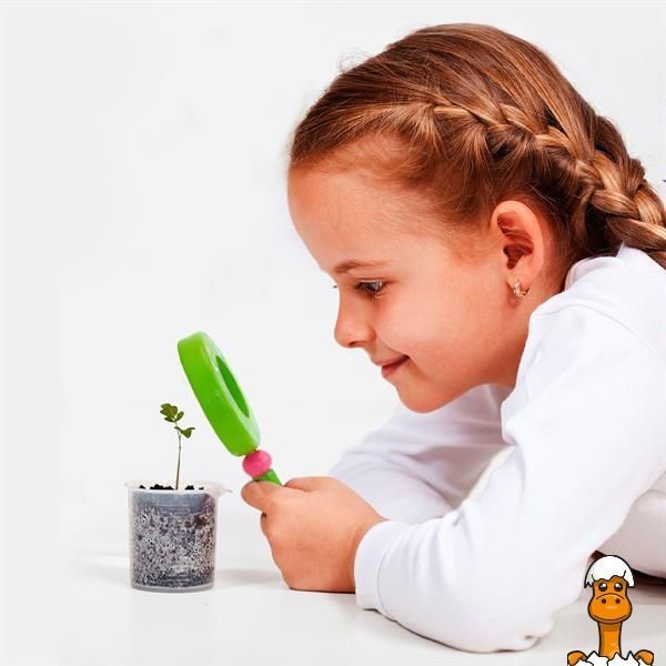 Мамалюк - Деревянная игрушка Viga Toys Лупа для детей (53912) Viga Toys A4-53912
