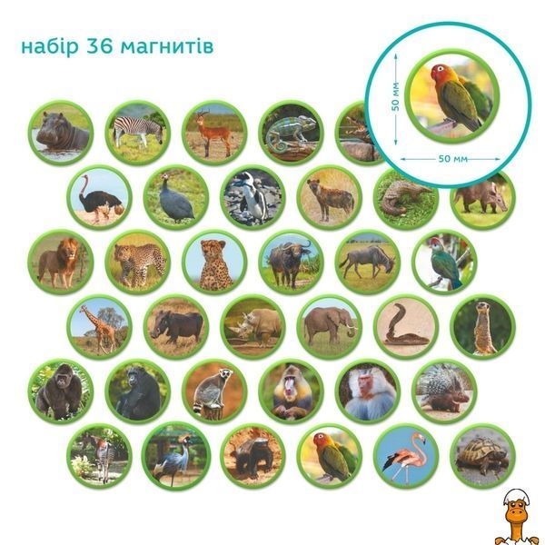 Мамалюк - Дитячий магнітний набір Монтесорі тварини Африки 36 елементів DoDo Toys DoDo Toys RT2-200284