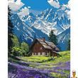 Картина за номерами Гірський спокій 40x50 см Art Craft