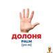 Мамалюк - Карточки развивающие Строение тела для детей 17 штук Ranok Creative Ranok Creative RT2-10107202 фото 3