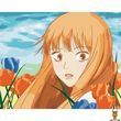 Картина за номерами без підрамника 40х50 см Kimi ni Todoke Art Craft