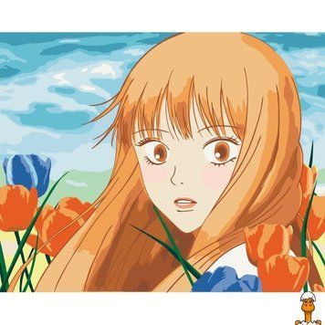 Мамалюк - Картина за номерами без підрамника 40х50 см Kimi ni Todoke Art Craft Art Craft RT2-16066-ACNF